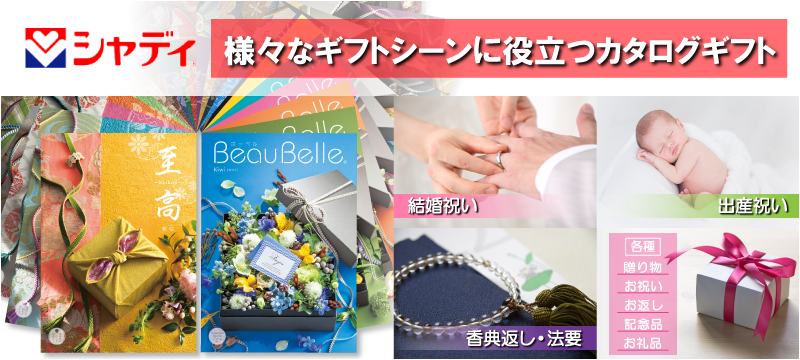 本店は バイオクリーンミニセット６種 洗剤 掃除洗剤 洗濯洗剤 天然成分 お試し プレゼント ミニ discoversvg.com