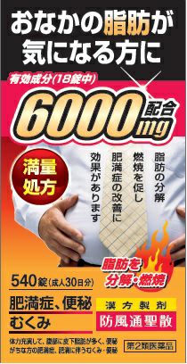 第2類医薬品】防風通聖散エキス６０００ ５４０錠 | キリン堂通販SHOP