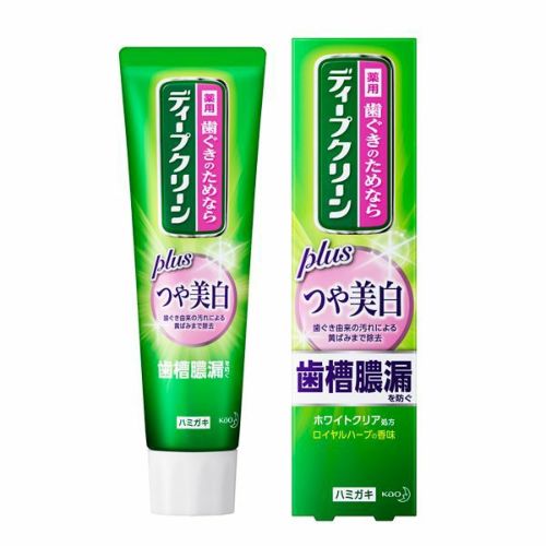 ディープクリーン撰濃密クリームハミガキ１００ｇ | キリン堂通販SHOP