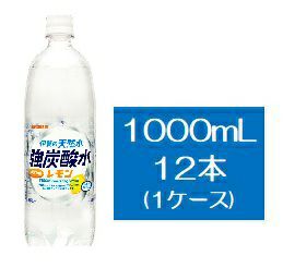 ２ケース 24本 2 サンガリア 伊賀の天然水 強炭酸水 500ml 48本 キリン堂通販shop