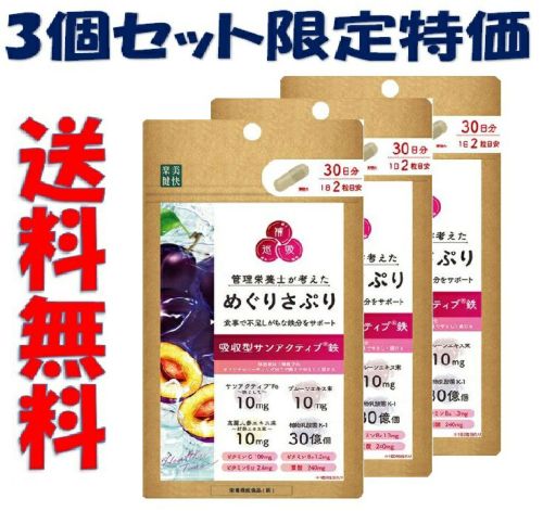 アース製薬 ねずみホイホイ ２セット入 キリン堂通販SHOP